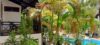 Angkor Green Boutique