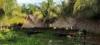 Black Pepper Resort