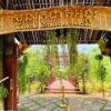 Angkor Botanical Gar...