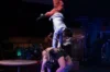 Phare, The Cambodian Circus