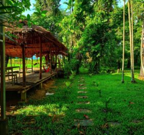 The Scenery – ...