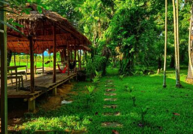 The Scenery – ...