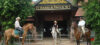 The Happy Ranch Hors...