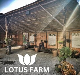 Lotus Silk Farm Siem...