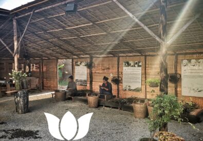 Lotus Silk Farm Siem...