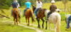 The Happy Ranch Hors...
