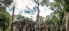 Ta Prohm Temple