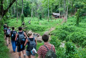 Community & Eco Tourism