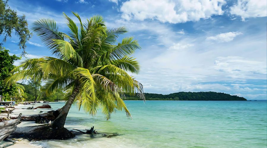 island-2.jpg