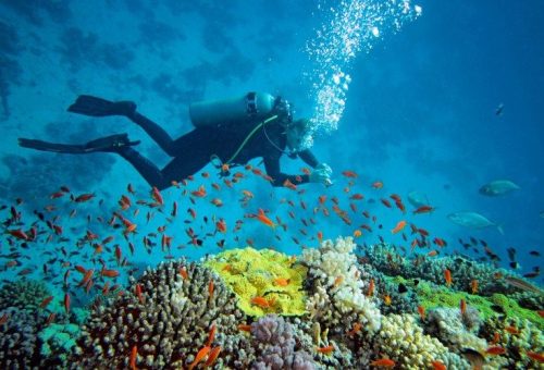 scuba diving